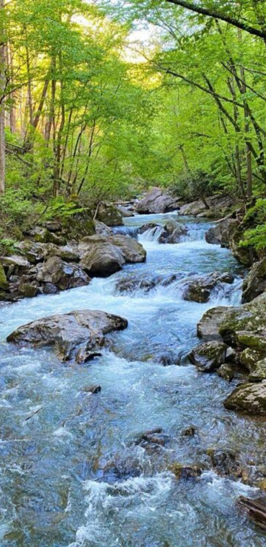 Secure Your Future | Tax-Free Retirement & Wealth Growth Strategies