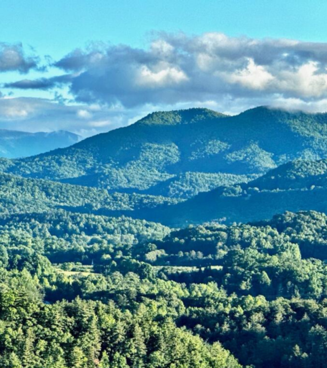 Secure Your Future | Tax-Free Retirement & Wealth Growth Strategies