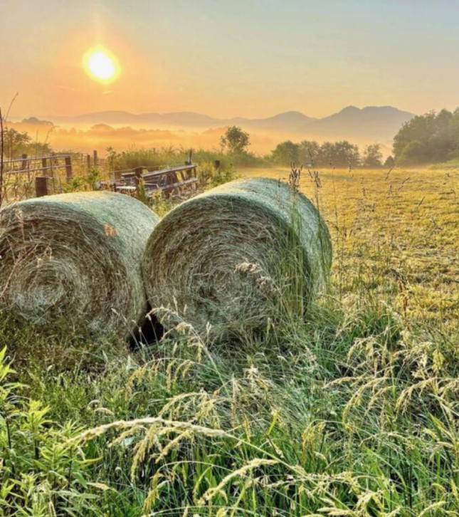 Secure Your Future | Tax-Free Retirement & Wealth Growth Strategies